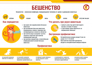 Бешенство__