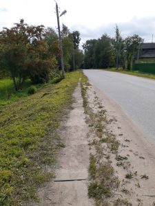 Тротуар 2019 год ИП Дмитриев до начала работ-2