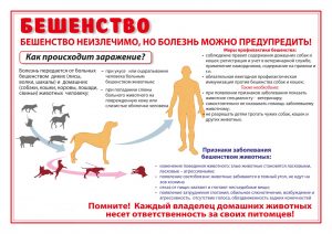 beshenstvo