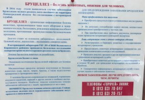бруцеллез