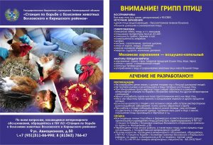 грипп_птиц