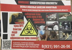 ооб_960 1