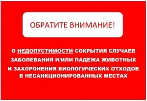 vnimanie сокрытие от ветеринарки