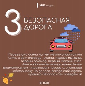 4 (6)