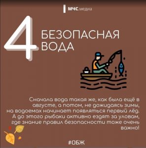 5 (6)