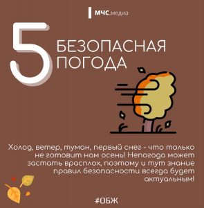 6 (2)
