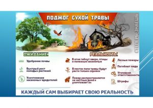 8ef1b78ef551488a260b0753c523292c