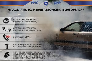 IMG_20260107_114501_458