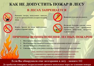 Lesnye_pozhary_1