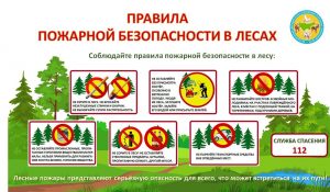 Правила пожарной безопасности в лесах