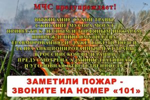 foto-2024-07-22-17-11_6