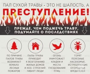 pal-suhoy-travy-eto-ne-shalost-a-prestuplenie_1684249894203396883__2000x2000__watermark (1)